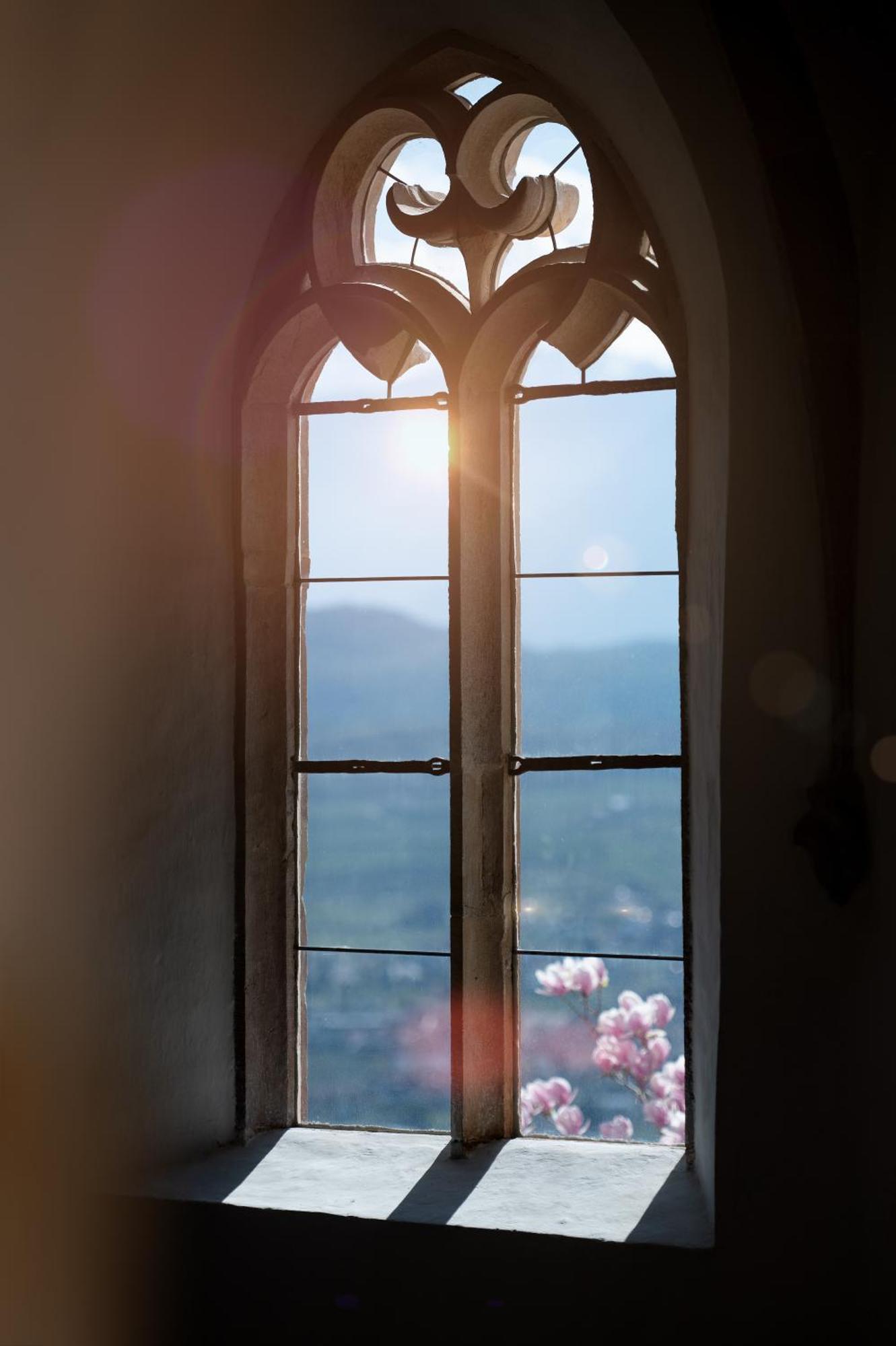 Schloss Freudenstein Appiano Sulla Strada Del Vino Esterno foto